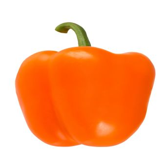 ORANGE PEPPER- 5.2 KG03